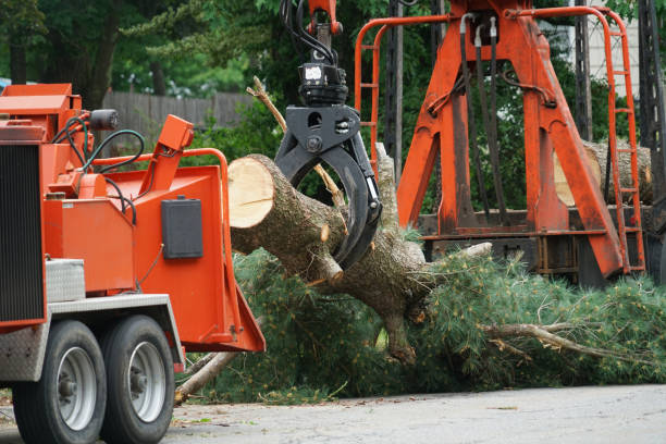 Best Storm Damage Tree Cleanup  in Green Tree, PA